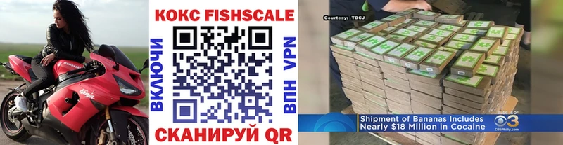 blacksprut онион  Одинцово  Cocaine Fish Scale 