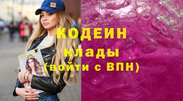 тгк Алзамай