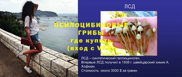 тгк Алзамай